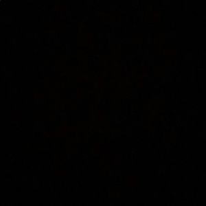 Meet your Posher, Britney